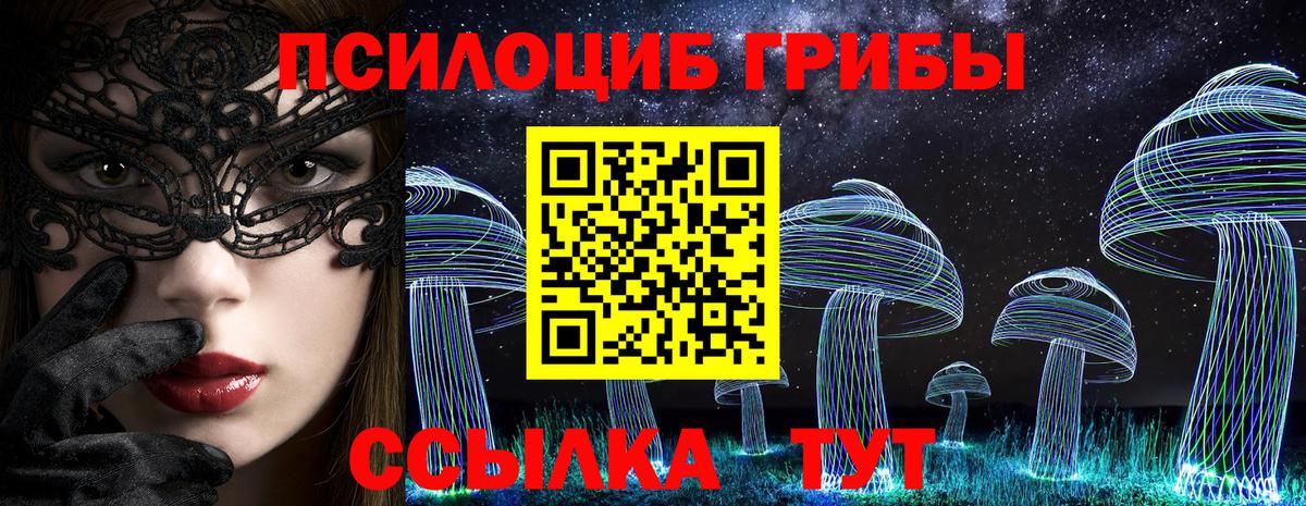 Псилоцибиновые грибы мицелий Лосино-Петровский